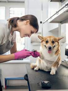 1pc Professional Pet Nail Grooming Tool - Stainless Steel Scissor-Style Clipper For And Precise Dog And Cat Paw Grinding And Trimming - Convenient Design For Gentle Grooming