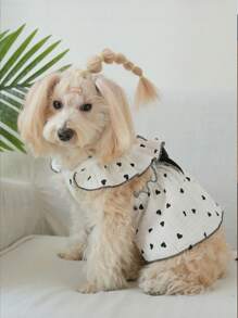 春夏季宠物服饰及用品，适用于泰迪、比熊犬、博美犬等犬猫。特色包括可爱的爱心主题狗狗服装。