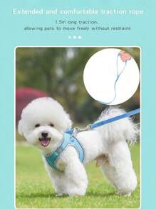 透气舒适的网状狗背带，带有反光条和强力包裹。