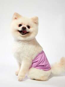 PETSIN 轻便透气宠物裹腿裤，简约休闲风格，适合夏季，防骚扰，适用于公狗 - 彩色 - 查看 4