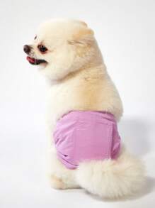 PETSIN 轻便透气宠物裹腿裤，简约休闲风格，适合夏季，防骚扰，适用于公狗 - 彩色 - 查看 2