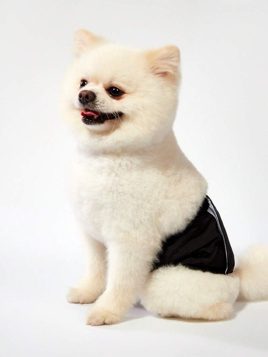 PETSIN 夏季轻便透气休闲黑色宠物防骚扰礼貌狗狗服装