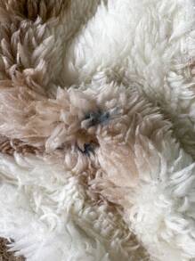 Swim Mod 2022 夏季沙滩青蛙印花可爱衬垫三角比基尼套装，适合年轻女孩 - 綠色 - 查看 6