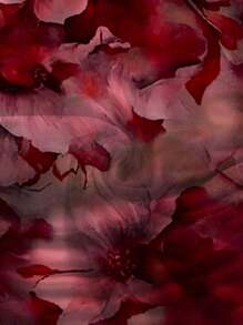 Soleia 女士花卉印花不对称领口和下摆褶饰上衣 - 乾枯玫瑰色 - 查看 4