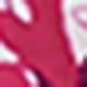 彩色