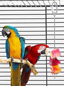 Garfos de aço inoxidável para frutas de pássaros - Conjunto de acessórios para gaiola de papagaio para alimentação de frutas e lanches | Suprimentos para pássaros à prova de ferrugem e mordidas, brinquedos para pássaros de uso imediato - Prata - Ver 3