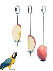 Garfos de aço inoxidável para frutas de pássaros - Conjunto de acessórios para gaiola de papagaio para alimentação de frutas e lanches | Suprimentos para pássaros à prova de ferrugem e mordidas, brinquedos para pássaros de uso imediato - Prata - Ver 10