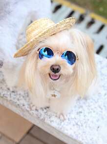 1Pc Fashionable Straw Sun Hat For Pets - UV Protection Dog Hat, Breathable Adjustable Cat Summer Accessory | Beach & Outdoor Shade Hat, Instant Sun Shield