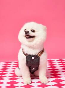 PETSIN Brown Sweet Lady Malade Style English Letter & Bear Print Floral 3D Design Summer Lightweight Breathable Puppy Dress, Suitable For Going Out