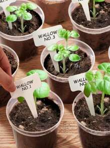 4 件装透明植物育苗盆，3/4/5 英寸塑料育苗花盆，带排水孔，种子启动器花卉，高透明度 - 彩色 - 查看 6