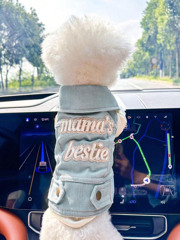 PETSIN 1pc Universal Pet Dog "Mama's Bestie" Cute & Fashion Embroidery Pattern Casual Pullover Jacket, Leash Attachable