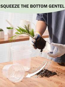 4 件装透明植物育苗盆，3/4/5 英寸塑料育苗花盆，带排水孔，种子启动器花卉，高透明度 - 彩色 - 查看 3