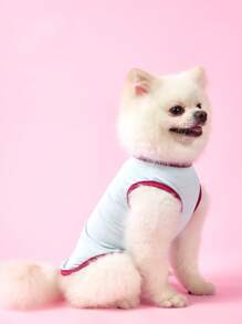 PETSIN 可爱甜美简约休闲家居轻薄透气柔软字母印花拼色设计宠物背心，适合猫狗，欧美流行，蓝色，春夏 - 藍色 - 查看 4