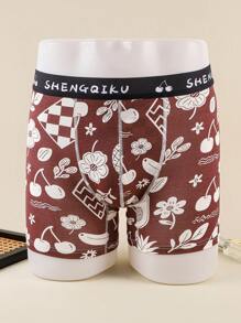 4pcs/Pack Fruit Printed Boxer Briefs For Teenagers - Multicolor - View 3