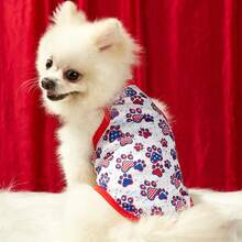 PETSIN Independence Day Vest With Dog Paw Print & Star-Stripe Pattern - Universal For Cats And Dogs - Multicolor - View 9