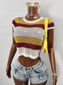 BamGleam Women Crew Neck Cap Sleeve Hollow Out Cropped Knit Sweater - White - View 5