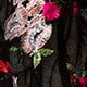 Nhiều màu