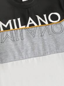 SHEIN Tween Boy Casual Minimalist Letter Print Round Neck T-Shirt, Summer 2025 Back To School Season Collegiate & Sportswear - Multicolor - View 6