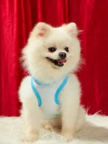 PETSIN 独立日向日葵卡通插图条纹星字母印花宠物猫狗通用浅蓝色背心 - 彩色 - 查看 4