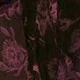 Rosa Fucsia