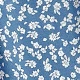 Blue and White