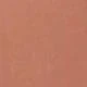 Coral Orange
