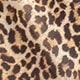 Multicolor
