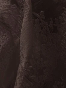 Aveloria 女士短款天丝衬衫，花卉刺绣荷叶边下摆，翻领，长袖 - 鏽棕色 - 查看 5