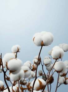 SHEIN 男婴熊印花短袖休闲 Polo 衫 - 白色 - 查看 8