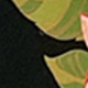الأسود