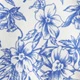 Blue and White