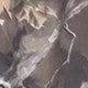 متعدد الألوان