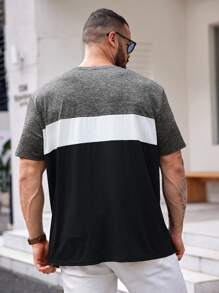 Manfinity VCAY Plus Size  Letter Embroidery Contrast Color Round Neck Short Sleeve T-Shirt