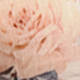 Màu Khaki