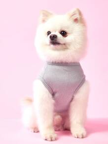 PETSIN 灰色夏季可爱休闲书，Behappy Everyday，熊图案印花轻盈透气华夫格纹理宠物背心，适合猫狗 - 灰色 - 查看 2