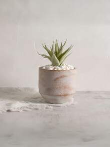 Cirelle 1 Buah Pot Bunga Semen Hijau Lumut Bergaya Nordik Mini Geometris untuk Sukulen, Dekorasi Rumah untuk Ruang Tamu dan Balkon, Hadiah Pindah Rumah Modern - MultiWarna - View 9