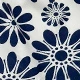 Blue and White