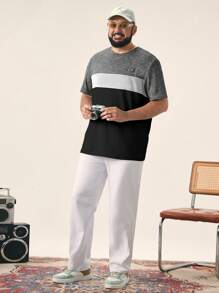 Manfinity VCAY Plus Size  Letter Embroidery Contrast Color Round Neck Short Sleeve T-Shirt