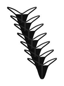 Ocili 女士性感纯色低腰丁字裤 - 黑色 - 查看 2