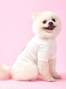 PETSIN 白色透气轻便夏季宠物背心，带有“BEAR”刺绣图案和条纹设计，适合猫狗的休闲运动服 - 白色 - 查看 3