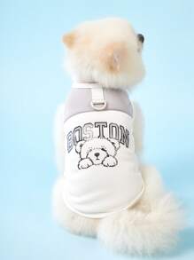 PETSIN 1 件灰色轻质透气宠物夏季背心，可爱简约拼色设计，带有 BOSTON 英文文字和狗狗印花，网眼面料，适合猫狗、户外活动，春夏季流行的美国/欧盟风格 - 灰色 - 查看 1