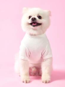 PETSIN 白色透气轻便夏季宠物背心，带有“BEAR”刺绣图案和条纹设计，适合猫狗的休闲运动服 - 白色 - 查看 2