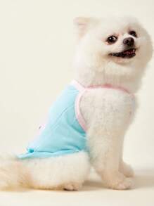 PETSIN Chaleco sin mangas de verano azul, ligero y transpirable, con diseño de bloques de color e impresión de fresas, adecuado para perros y gatos pequeños/medianos, camisa para mascotas popular para uso al aire libre en Europa/América