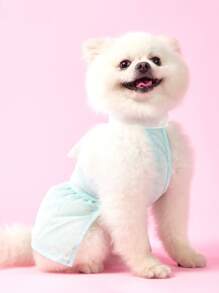 PETSIN Vestido ligero y transpirable para perro con decoración de alas de ángel 3D, estilo de princesa dulce azul claro, de moda europea y americana para primavera/verano - Celeste - Ver 3