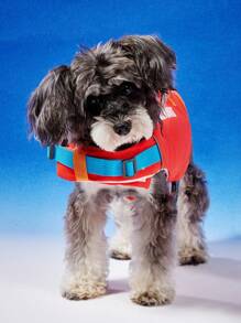 PETSIN Orange Pet Life Jacket Summer Lightweight Life Vest With "ICANDOIT" English Print, Comfortable, High Buoyancy, Adjustable, Suitable For Spring/Summer - Multicolor - View 3