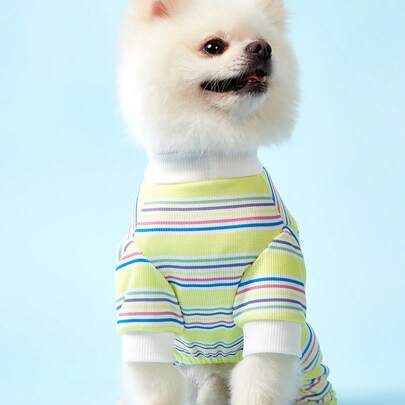 PETSIN 轻盈透气黄色季节可爱活力多巴胺设计条纹宠物连体背带裤，适合春夏户外活动