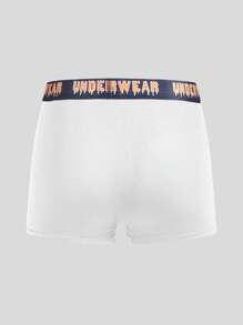 Snug Zone Men's Letter Waistband Casual Comfortable Boxer Briefs,5 Pcs - Multicolor - View 18
