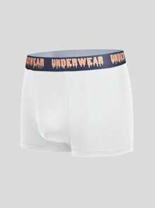 Snug Zone Men's Letter Waistband Casual Comfortable Boxer Briefs,5 Pcs - Multicolor - View 17
