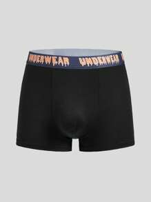 Snug Zone Men's Letter Waistband Casual Comfortable Boxer Briefs,5 Pcs - Multicolor - View 11