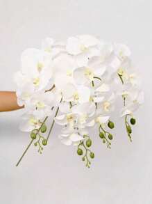 SHEIN 5PCS/3PCS/1PC 70cm Artificial Orchid Flowers, 9 Large Heads Of Real Touch Vivid Phalaenopsis Orchid Flower Stem, Classic Style Artificial Orchid Swags, Decorative Silk Phalaenopsis Flowers, Artificial Flowers Branches For Living Room Home Decoration, Hotel Wedding Floral Arrangement,Beautiful Home Decor For Halloween, Christmas, Chinese New Year,Great Gifts For Girlfriend And Mother On Valentine's Day And Mother's Day
